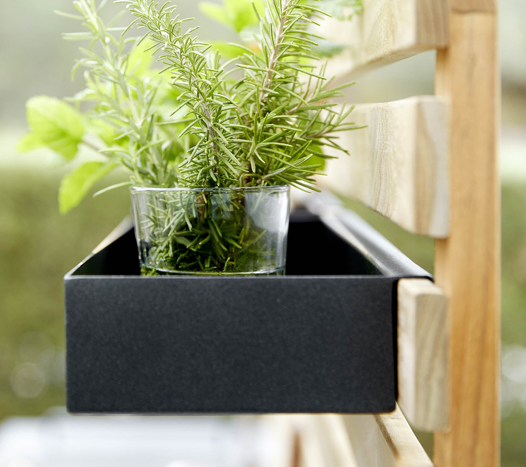 Une jardinière noire contient un verre avec des herbes fraîches, placé contre une structure en bois.