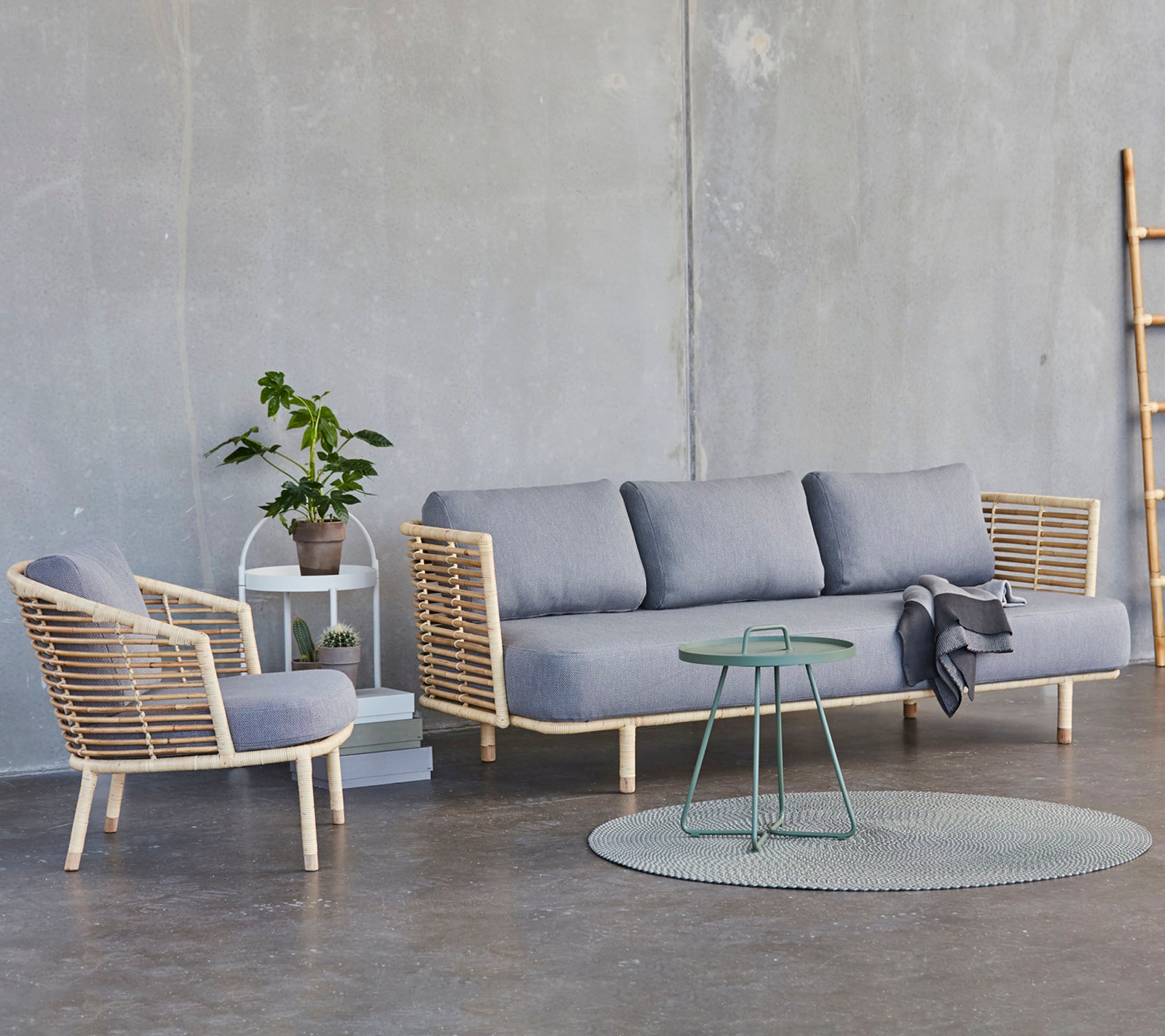 Un aménagement moderne avec un canapé gris, une chaise assortie, un tapis rond et une petite table avec une plante en pot.