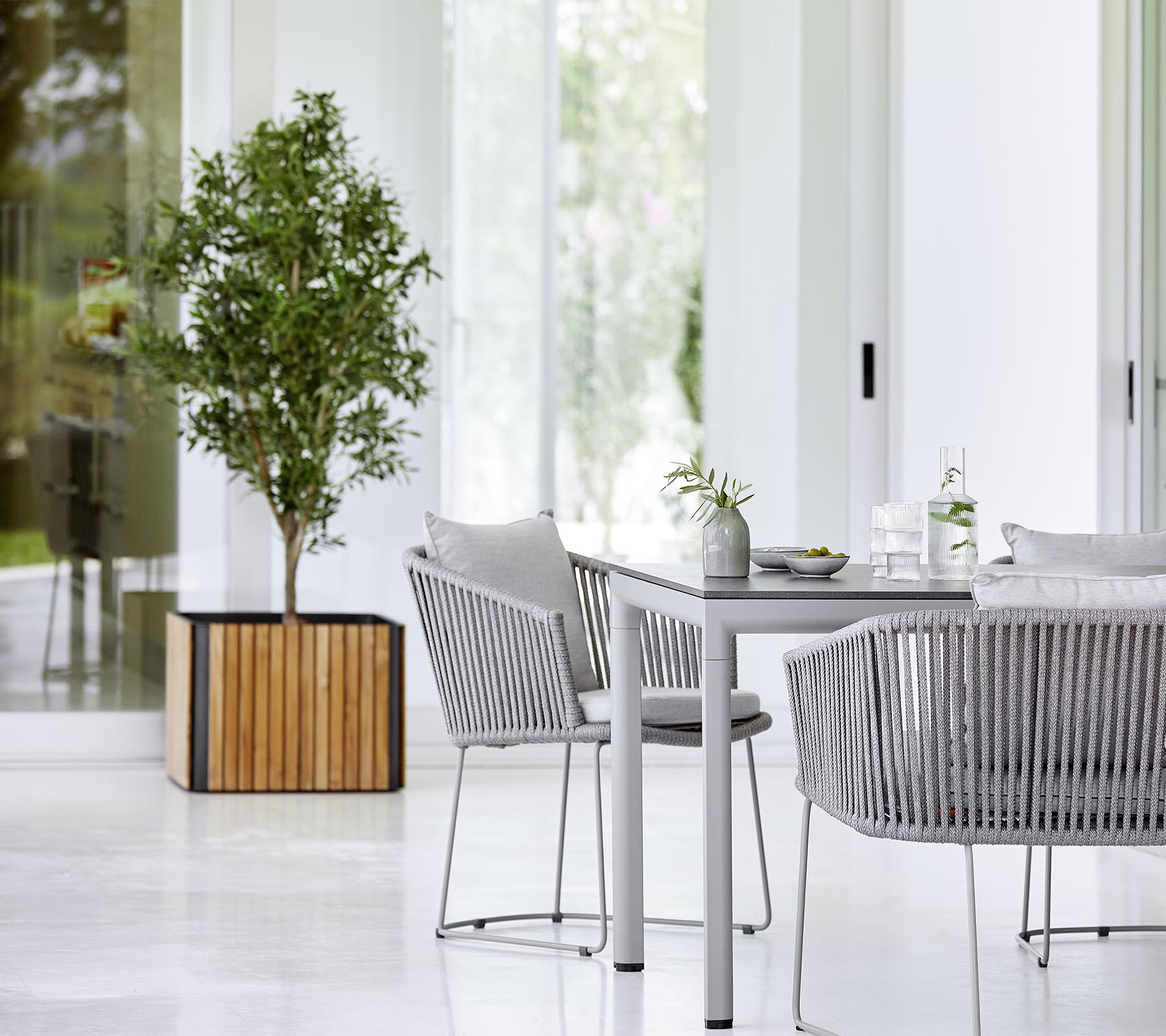 Une salle à manger moderne avec une table épurée, des chaises texturées et une plante en pot décorative, créant une atmosphère à la fois élégante et accueillante.
