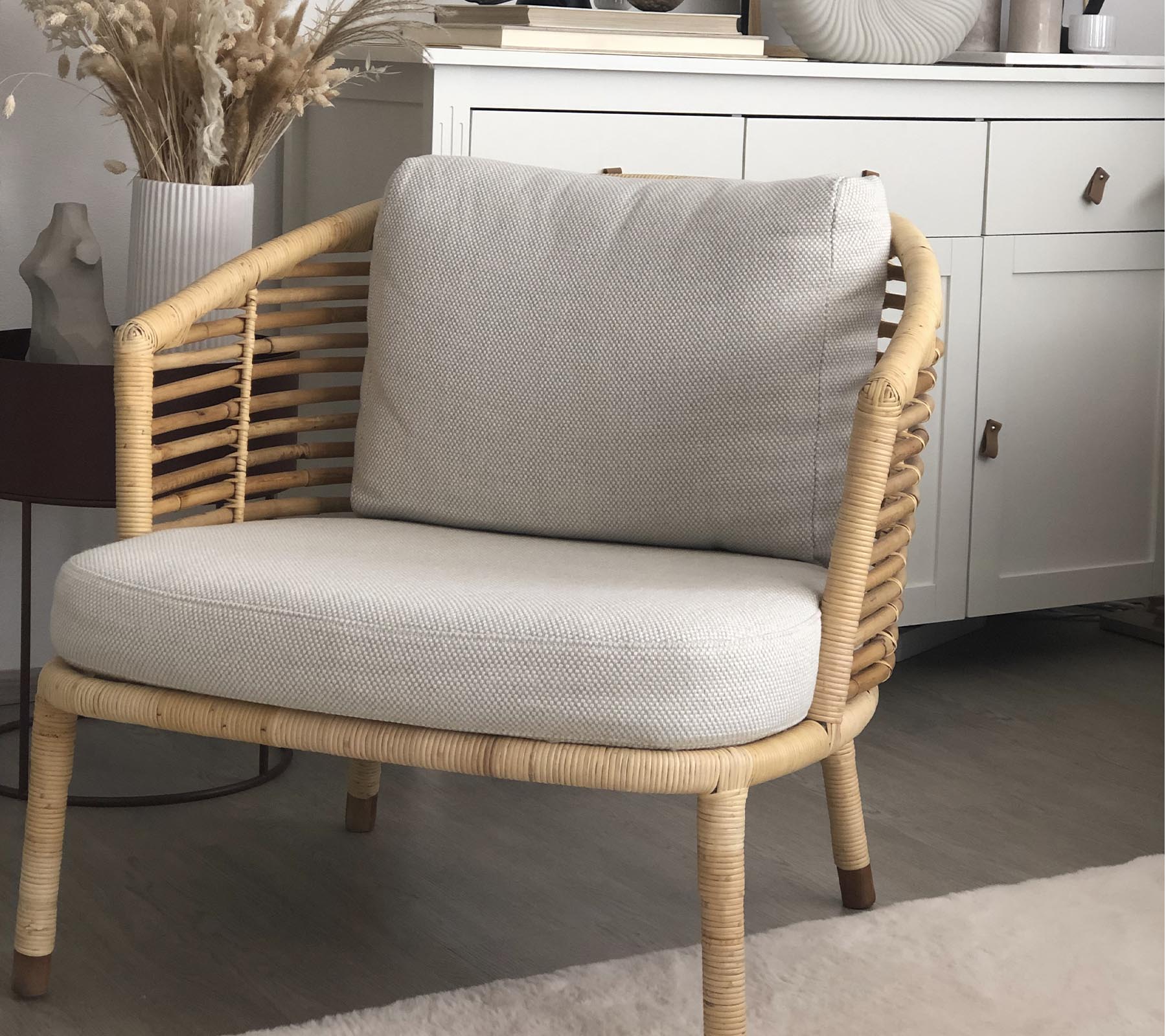 Une chaise élégante au design tissé et aux coussins moelleux, associée à une plante décorative et à une unité de rangement élégante en arrière-plan.